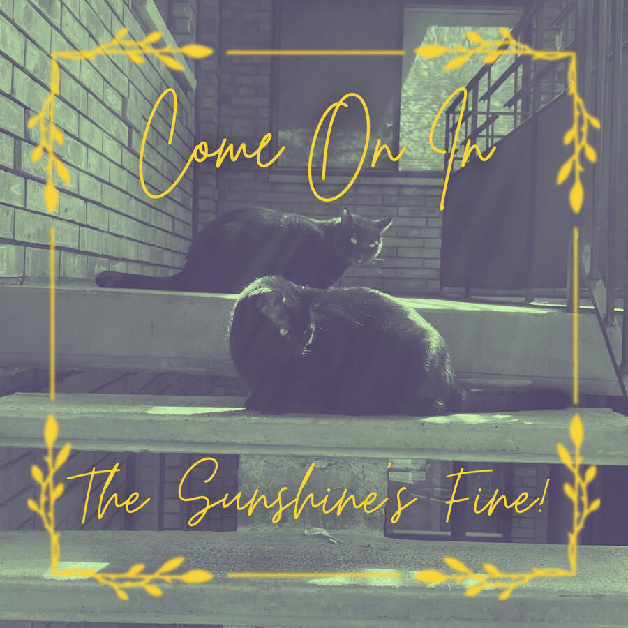 two black cats lay on concrete stairs. overlay text reads: "come on in the sunshine's fine." floral frame highlights interior of shot.